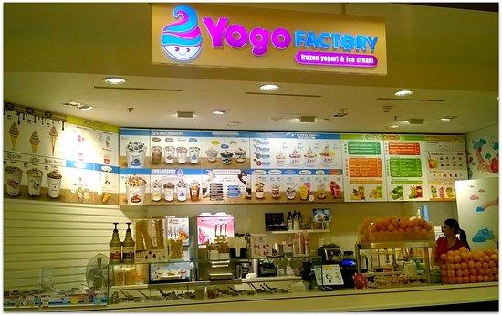 Yogo Factory